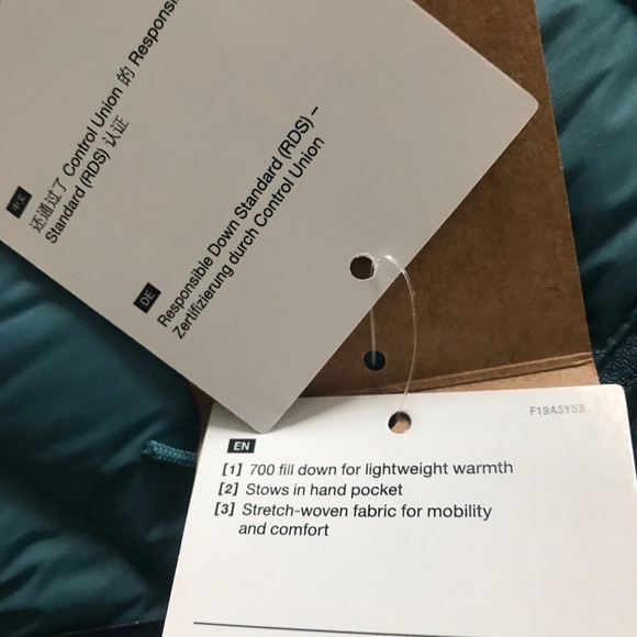 The North Face Stretch Down Hoodie - Picture 9 of 10